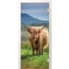 ERKELENZ Szklane drzwi Longhorn Fotoprint