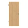 SCHÖRGHUBER drzwi wewnętrzne do obiektu, jesion, lakierowane przezroczyste, fornir