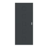HUGA Drzwi przesuwne Signum 19 Antracyt podobny do RAL 7016 Lakier Concept