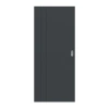 HUGA Drzwi przesuwne Signum 39 Antracyt podobny do RAL 7016 Lakier Concept