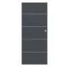 CLASSEN drzwi przesuwne Natura HK Venom Alu M1 szary grafitowy RAL 7024 CPL
