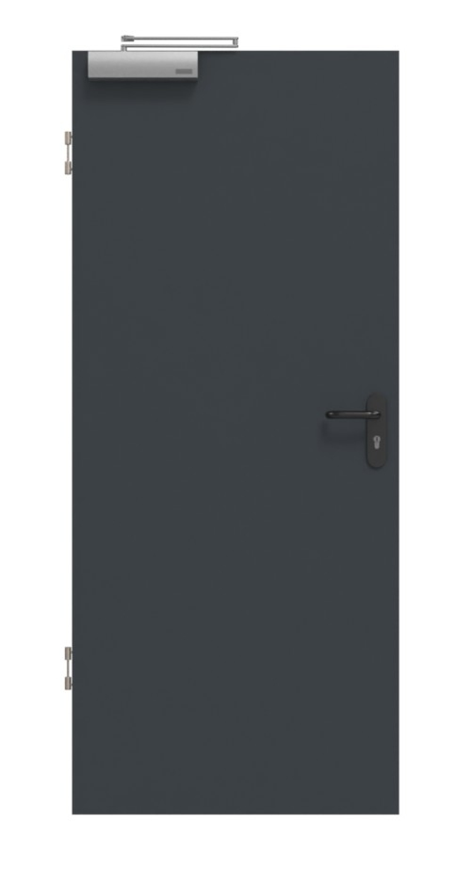 Frontansicht drzwi przeciwpożarowej T-30 Anthrazit RAL 7016 BaseLine Lak - Hörmann