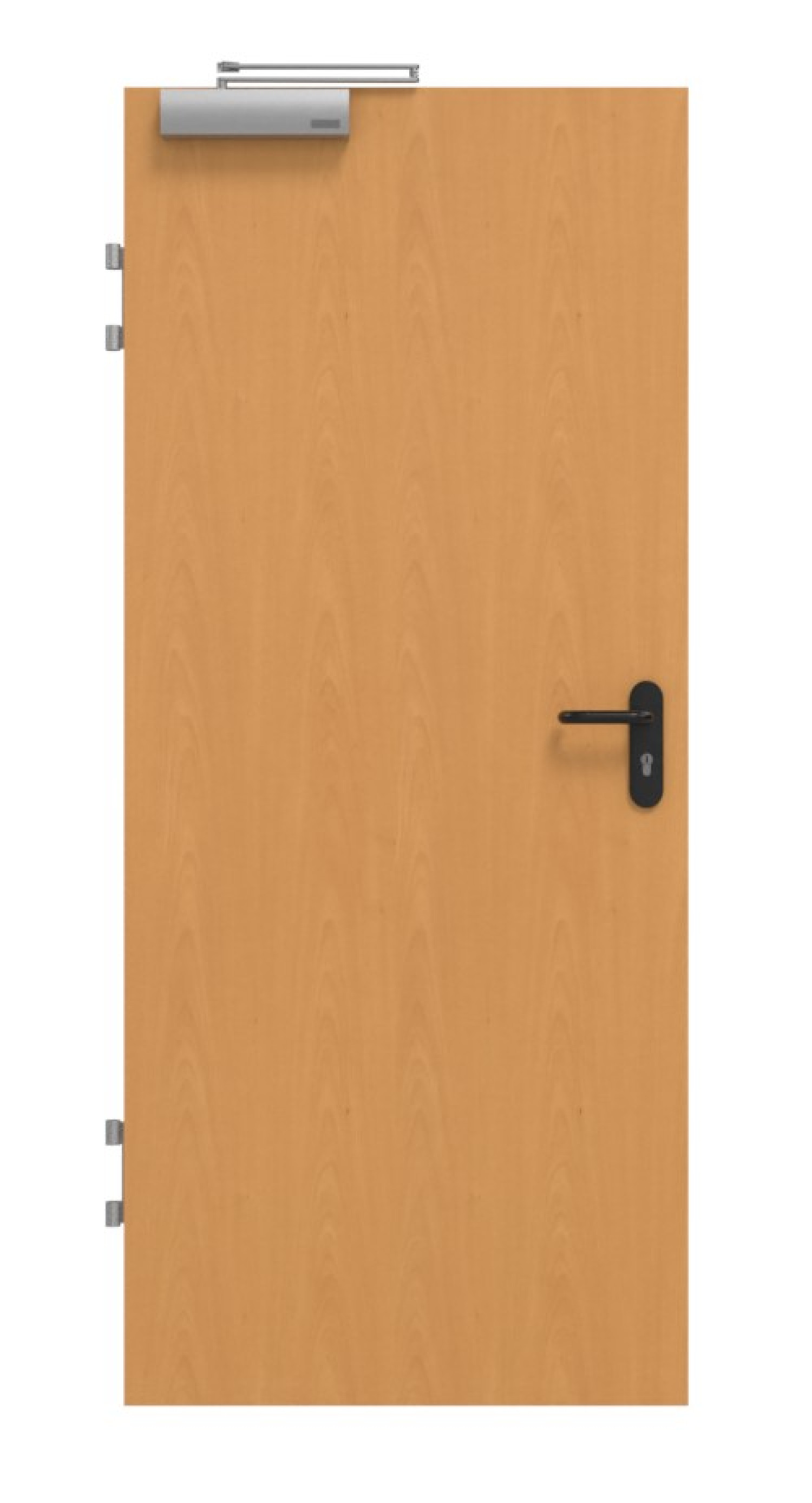 GARANT Drzwi przeciwpożarowe T30 Buk Ekskluzywne CePaL