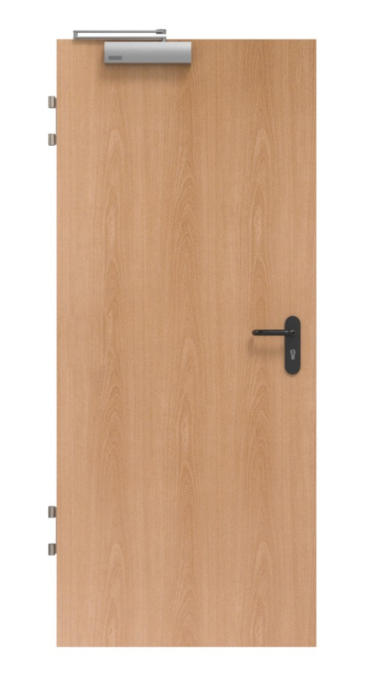 Front view of fire protection door T90 PortaLit Basic beech floral BU 88 CPL - Westag