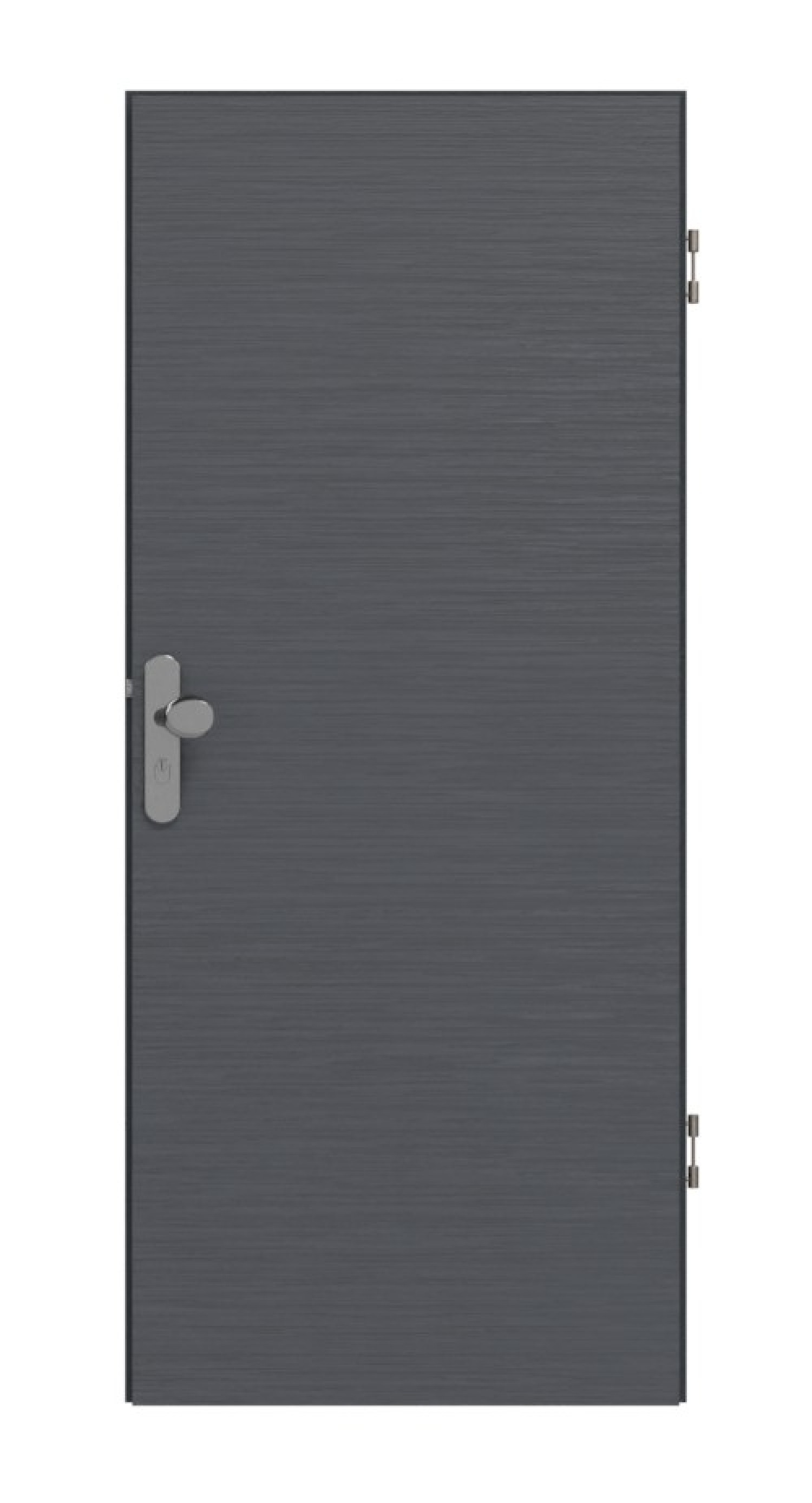 Frontansicht Strukturiert Anthrazit Basic Drzwi wejściowe - Huga