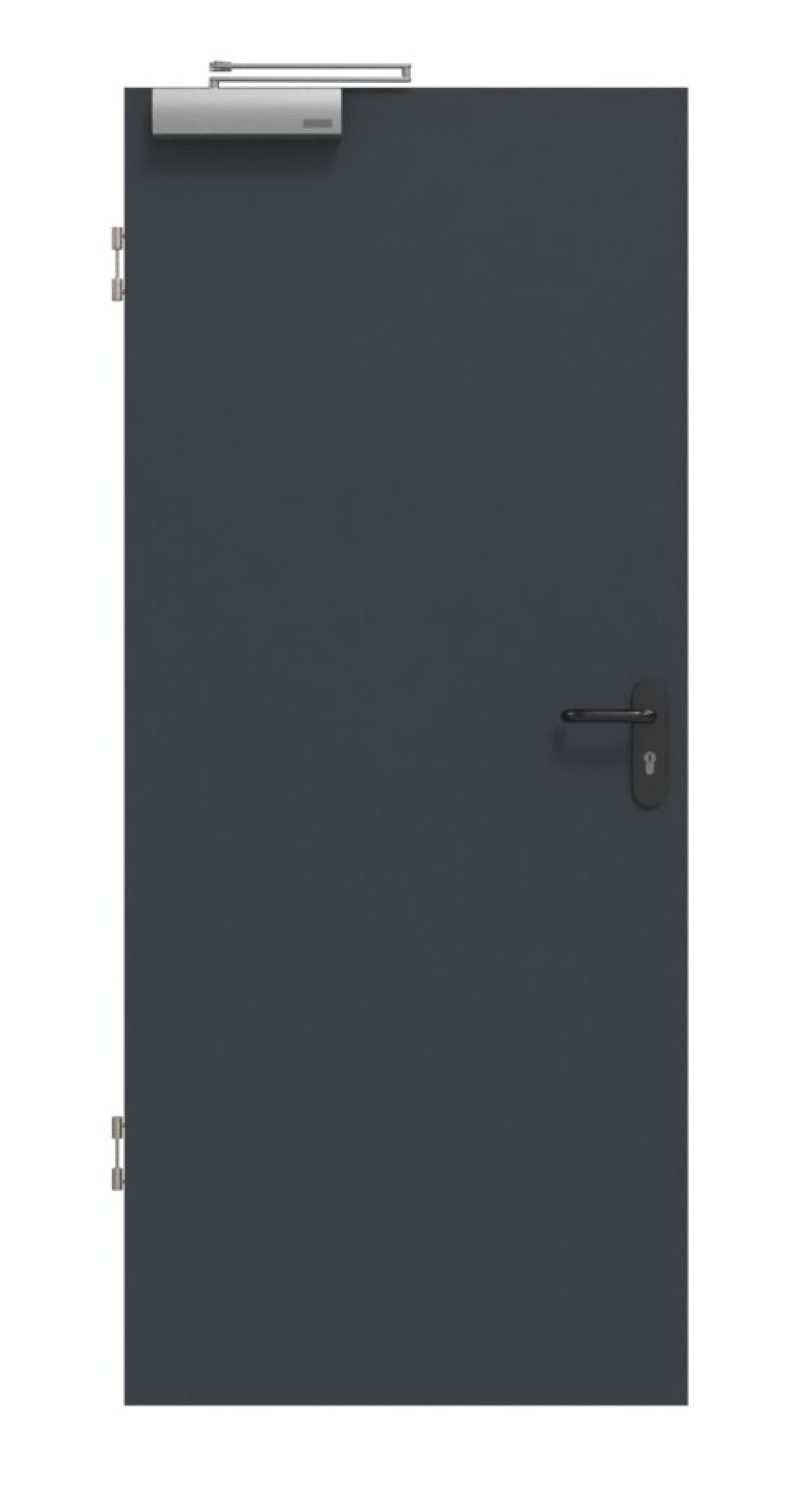 Widok frontowy drzwi przeciwpożarowych antracytowych RAL 7016 Basic Lack - Huga