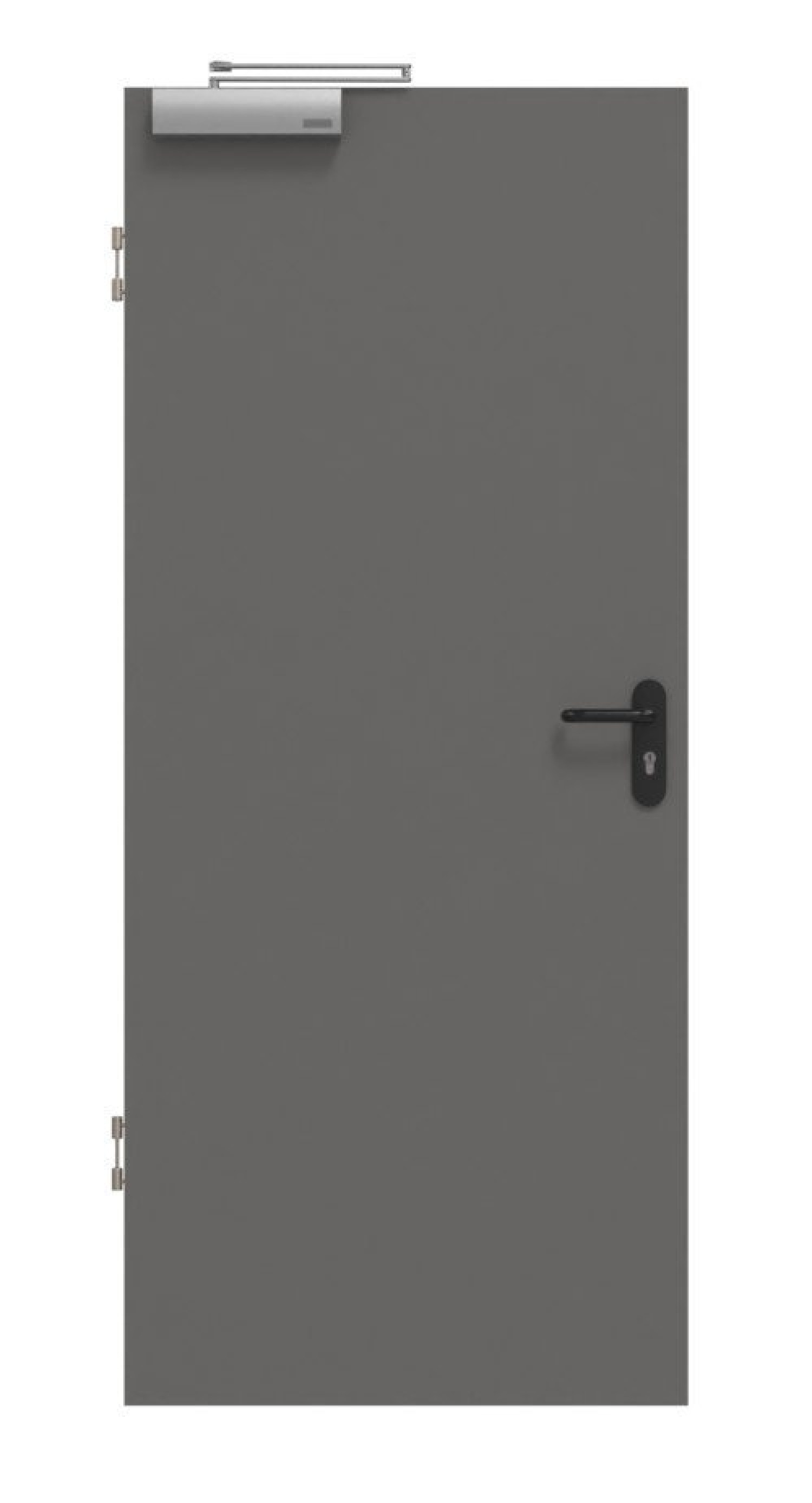 Widok frontowy drzwi przeciwpożarowych Huga Hygge szary RAL 7037 Lakier Basic