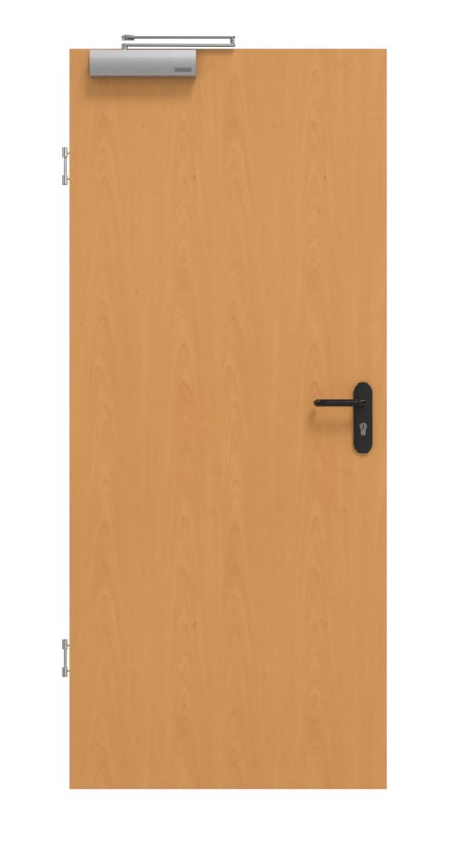 GARANT Drzwi przeciwpożarowe Buk Ekskluzywne CePaL