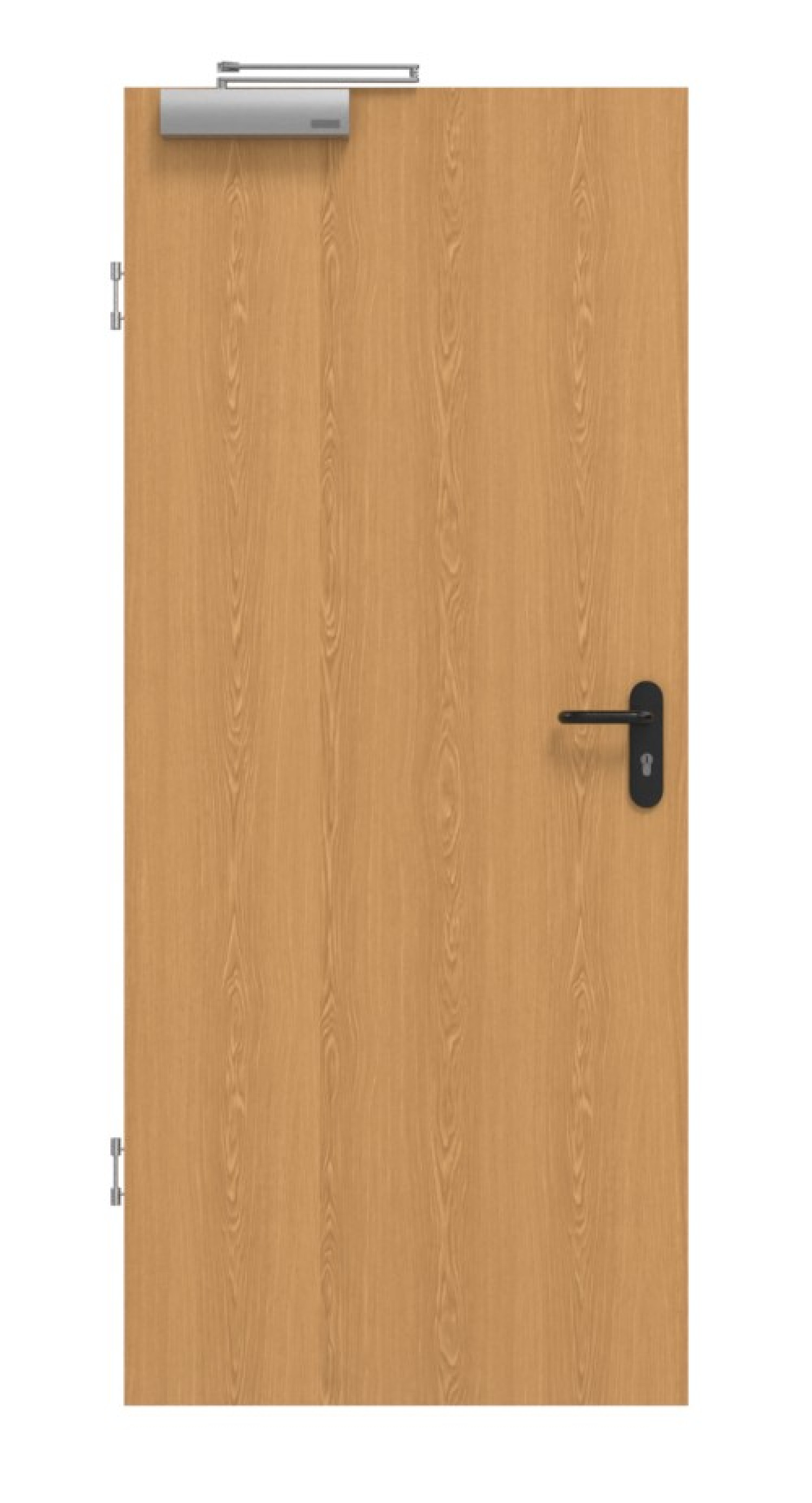 GARANT Drzwi przeciwpożarowe Dąb Premium CePaL