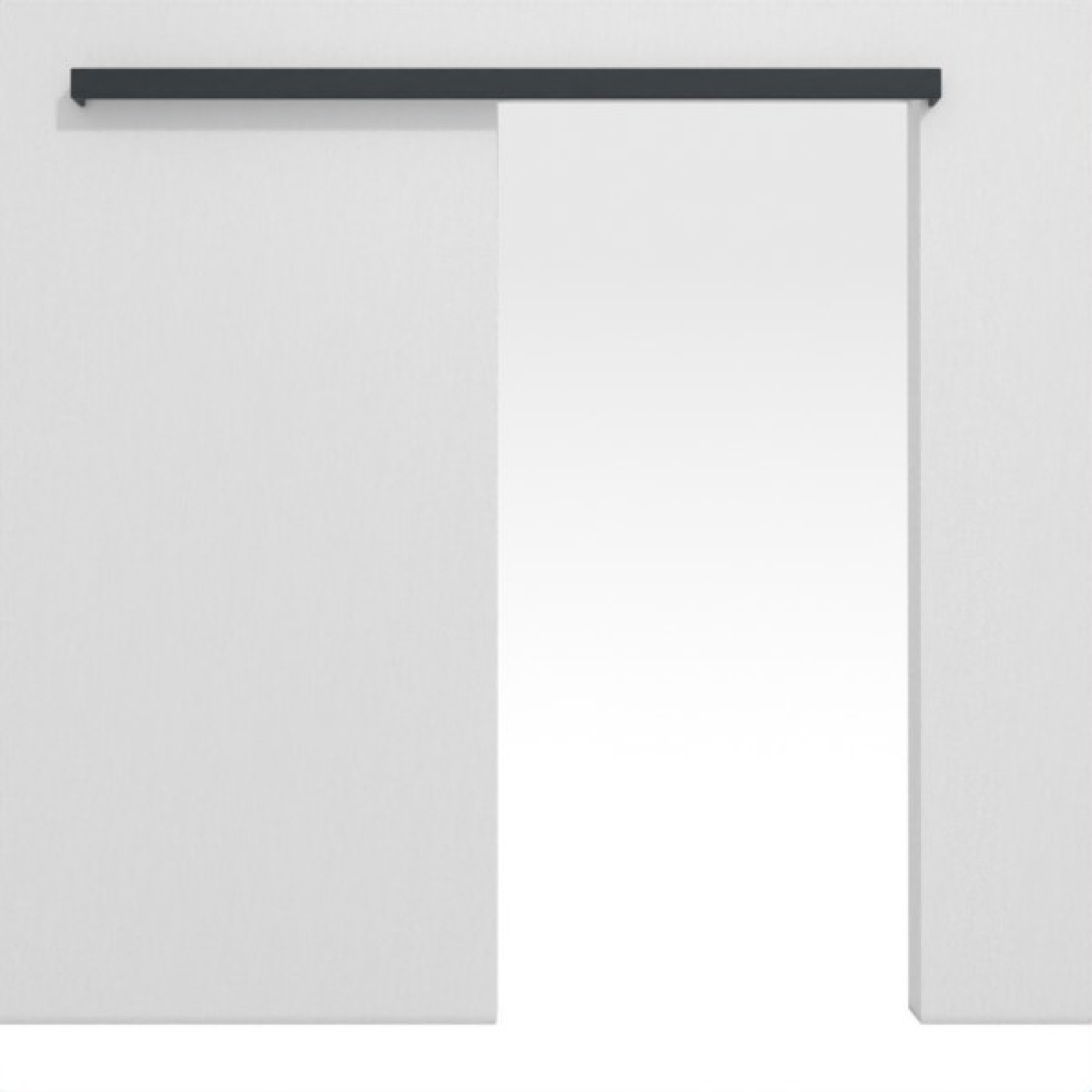 HÖRMANN system drzwi przesuwnych montowany na ścianie antracyt RAL 7016 lakier ProLine bez ościeżnicy