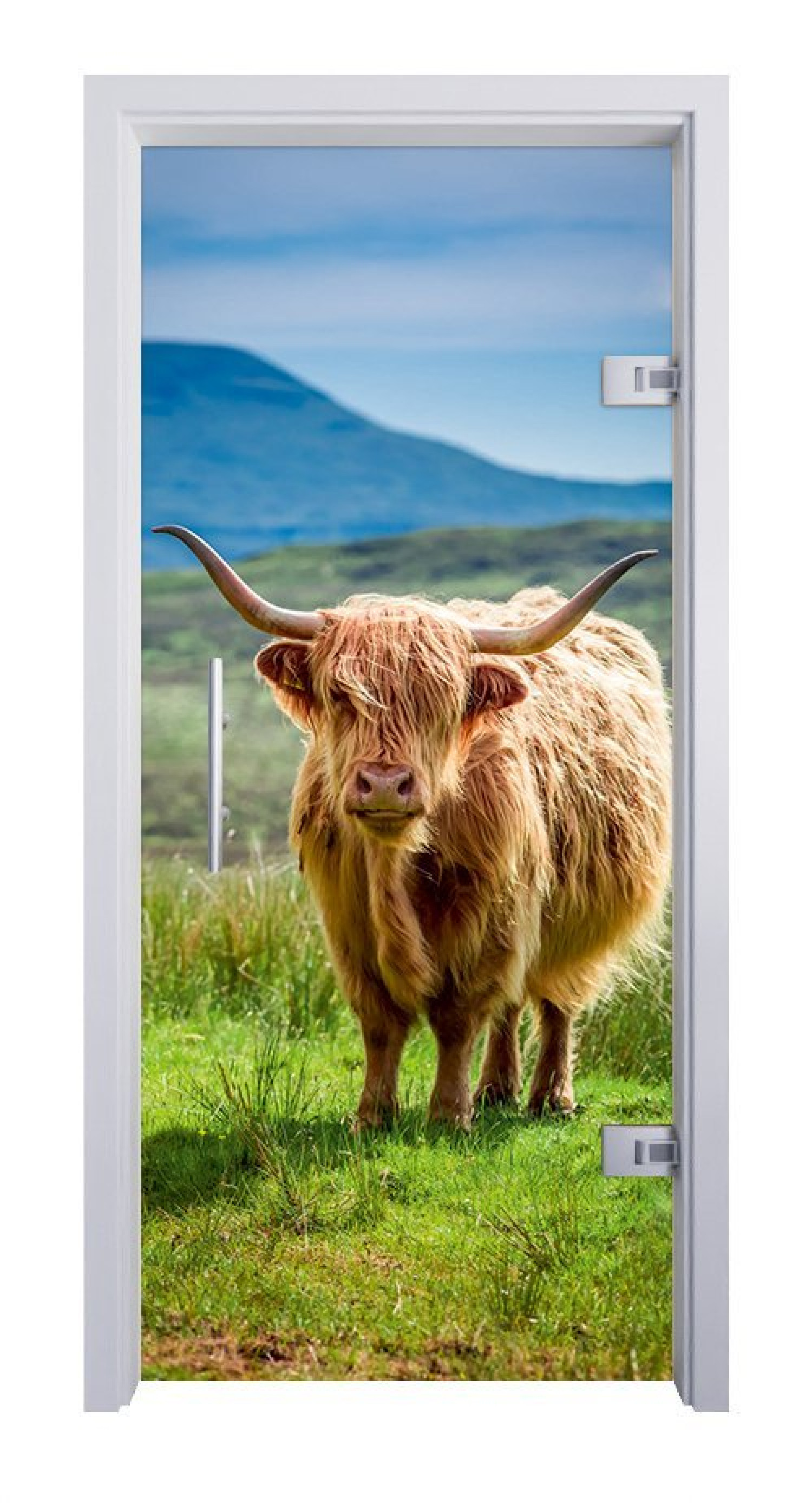 ERKELENZ Szklane drzwi przeszklone Longhorn Fotoprint
