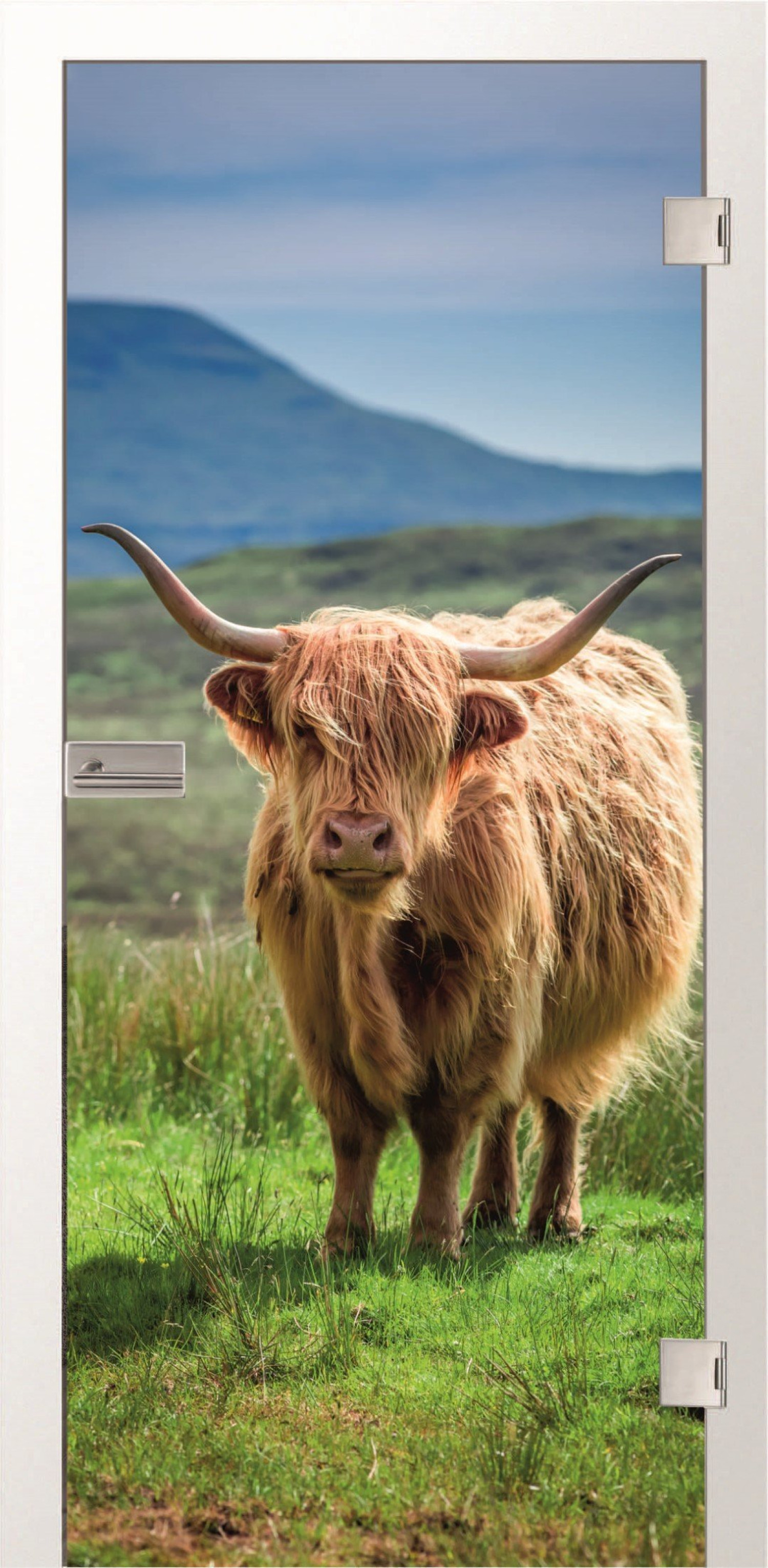 ERKELENZ Szklane drzwi Longhorn Fotoprint