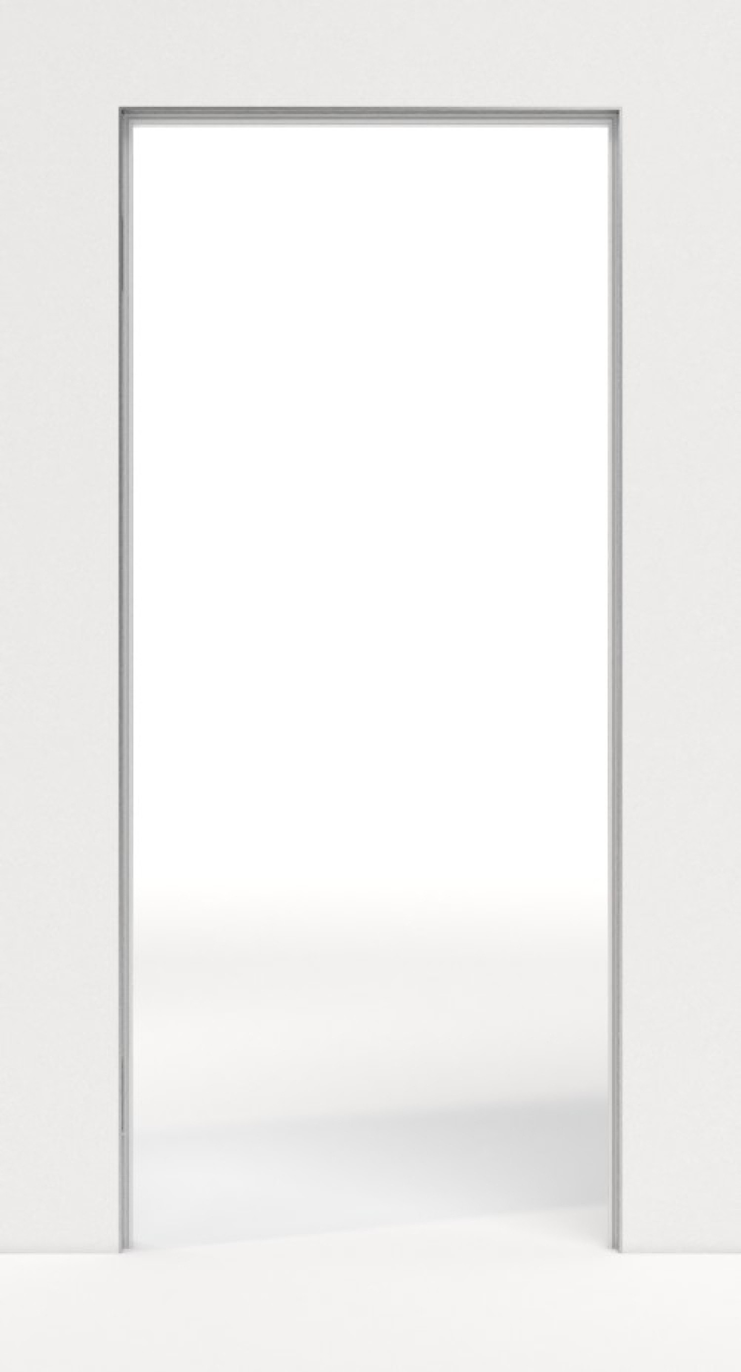 Obraz z ramą E6 C31 w wyglądzie stali nierdzewnej (modulWERK 1.0) - vitaDoor