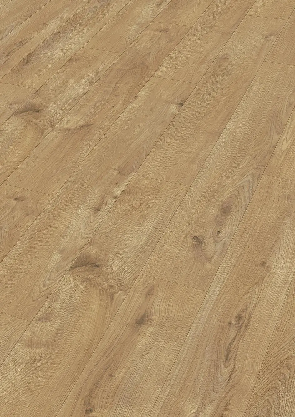 Widok MEISTER panele laminowane Villa dąb 7016 MeisterDesign. laminate LD 55 zdjęcie 1