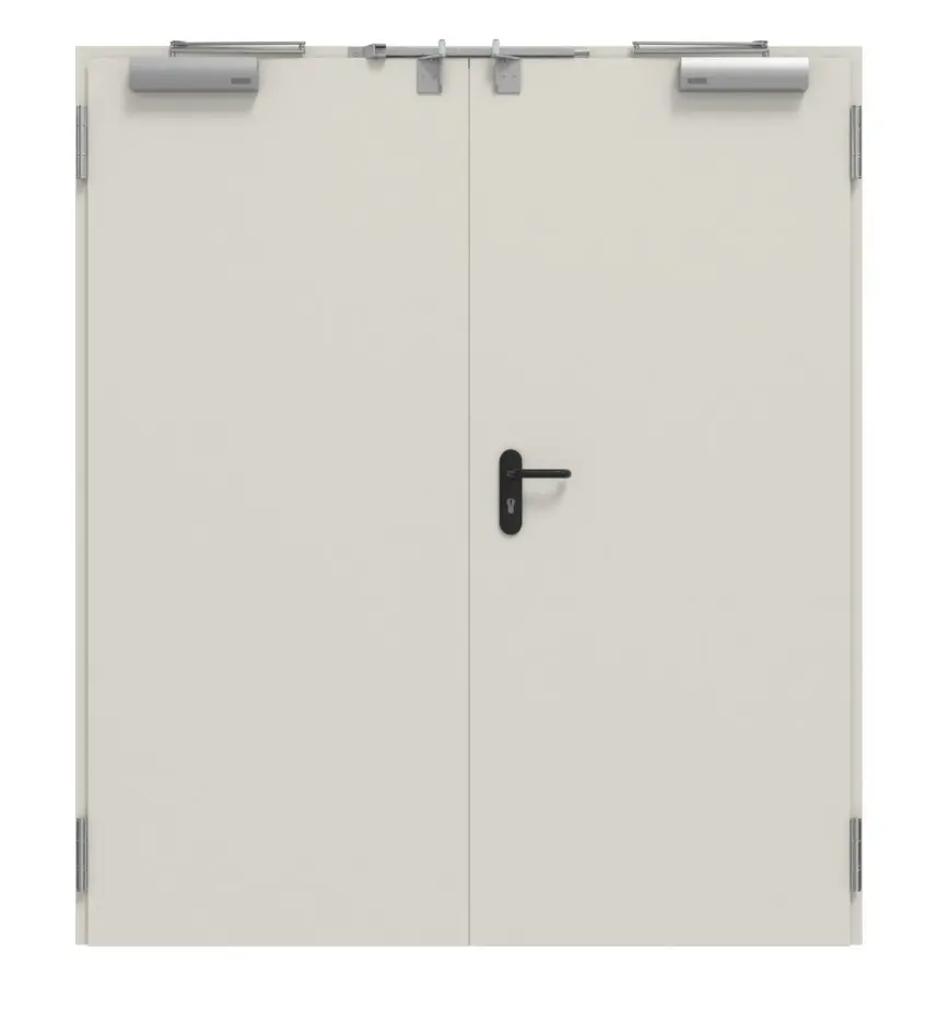 TECKENTRUP Zestaw drzwi zewnętrznych 2-skrzydłowe stal z funkcją ochrony przeciwpożarowej EI2 30-C5-SA 62-2 z ościeżnicą narożną