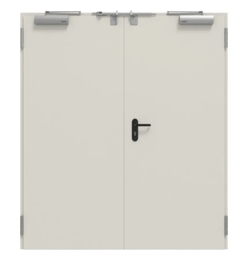 TECKENTRUP zestaw drzwi wewnętrzne 2-skrzydłowe stal z funkcją ochrony przeciwpożarowej T30-2 FSA-62 w tym ościeżnica blokowa