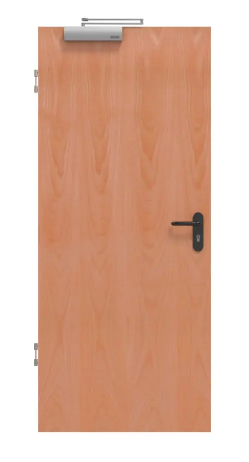 Widok frontowy drzwi przeciwpożarowe T-30 Typ48 buk klasyczny fornirowane drewnem naturalnym - Jeld-Wen