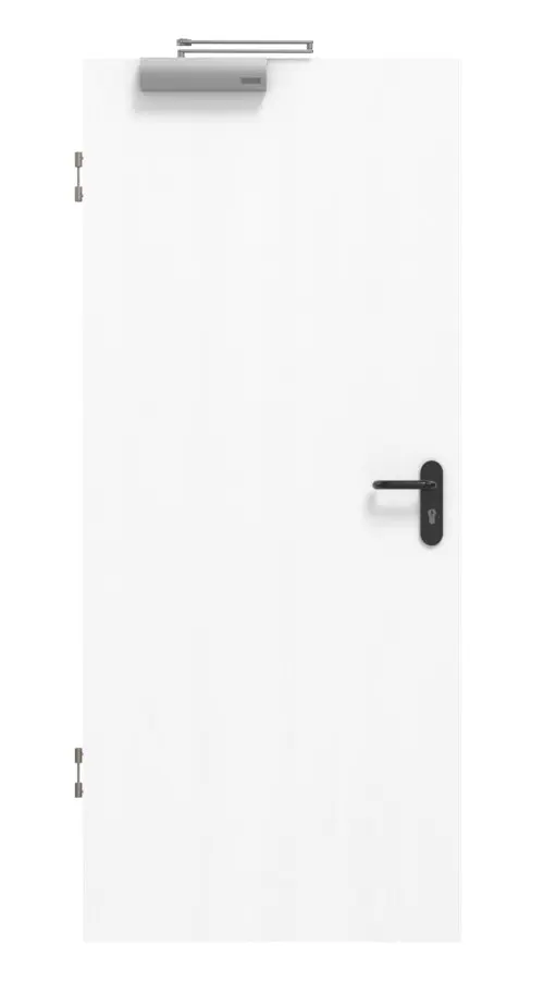 Zdjęcie jesion biały ES 242 PortaLit T30-drzwi przeciwpożarowe - Westag & Getalit