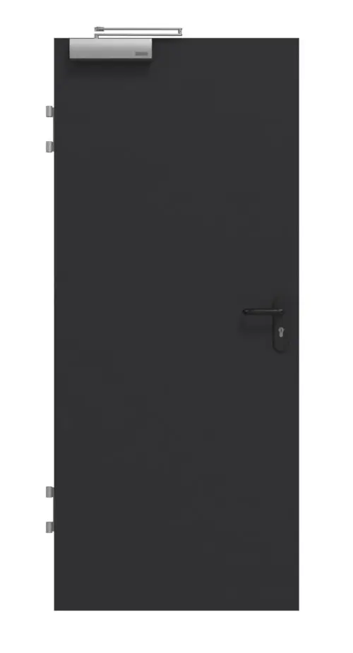 GARANT drzwi przeciwpożarowe T30 matowy RAL 9005 G-TEC