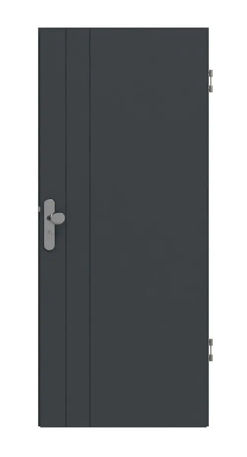 Widok frontowy modelu Signum 44 Basic, lakier antracyt RAL 7016, drzwi wejściowe do mieszkania - Huga