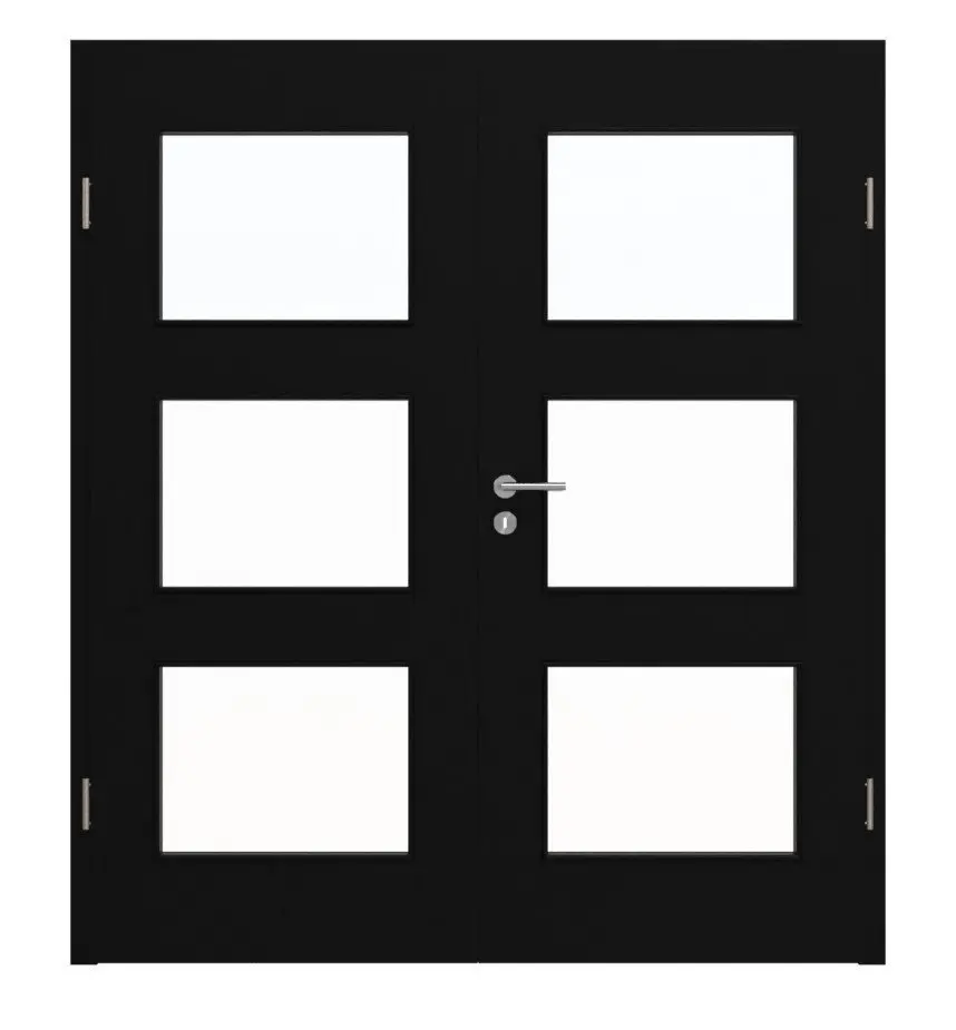 Widok frontowy drzwi 2-skrzydłowych HÖRMANN, ultramatowy czarny, Proline Concepto z przeszkleniem LA 11 i ościeżnicą.