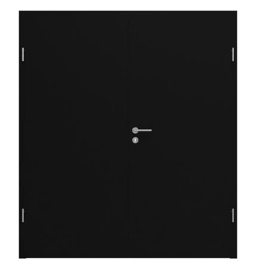 Widok frontowy drzwi dwuskrzydłowych HÖRMANN ultramatowy czarny Proline Concepto z ościeżnicą