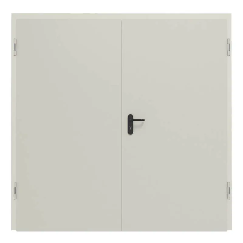 Widok frontowy kompletnego zestawu stalowych drzwi zewnętrznych wielofunkcyjnych D65-2 OD z ościeżnicą narożną - Hörmann