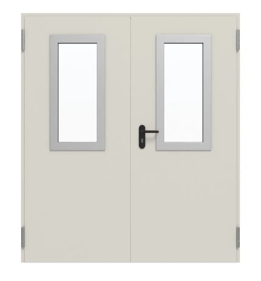 TECKENTRUP kompletny zestaw 2-skrzydłowe stal drzwi wielofunkcyjne dw 42-2 z przeszkleniem prostokątnym wycięcie 2 wraz z ościeżnicą narożną