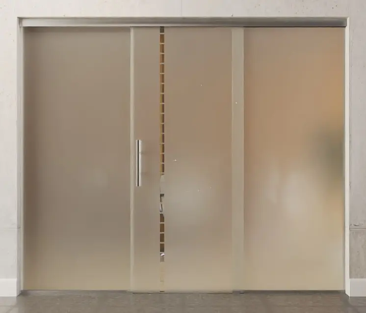 Zdjęcie przezroczystych drzwi przesuwnych szklanych z motywem Algo i dwoma stałymi elementami bocznymi Sigma Flexible wariant 2 - Erkelenz