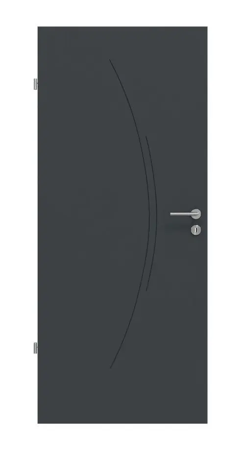 Widok frontowy drzwi wewnętrznych Signum 49 Basic, lakier antracyt RAL 7016 - Huga