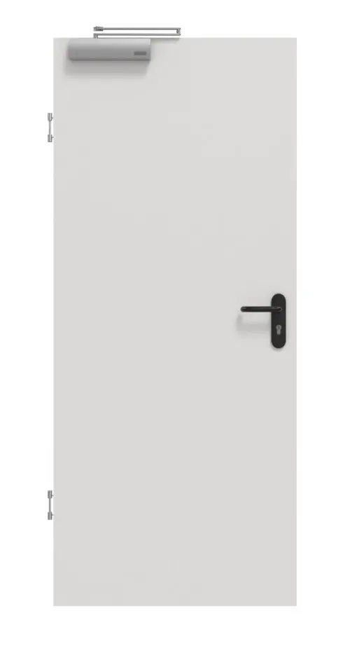 Widok frontowy drzwi dymoszczelnych GARANT 0160-60 srebrny Grey CePaL