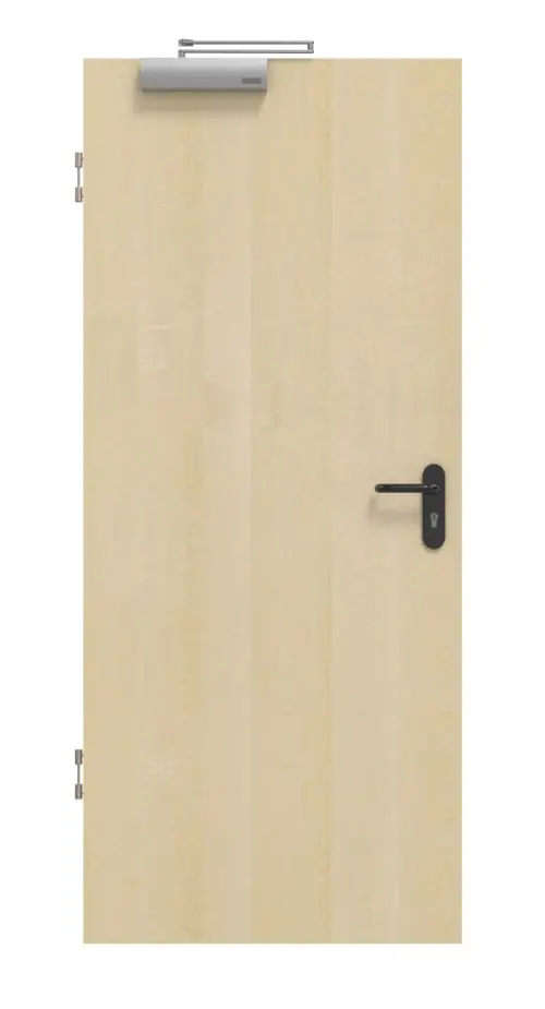 Zdjęcie klasycznych drzwi dymoszczelnych fornirowanych drewnem naturalnym, klon kanadyjski - Jeld-Wen