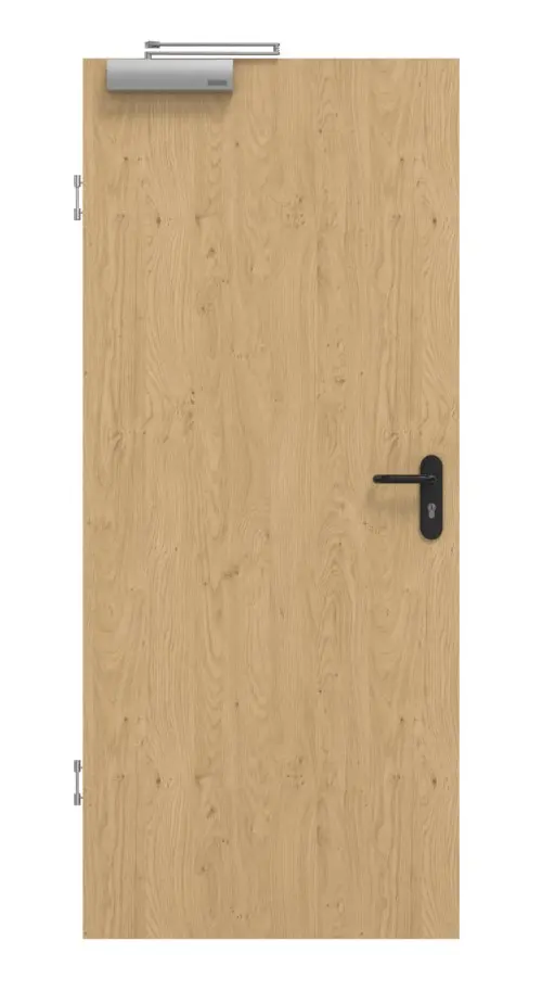 GARANT drzwi dymoszczelne Authentic Asteiche CePaL