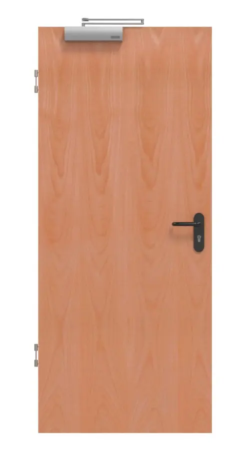 Zdjęcie drzwi dymoszczelnych fornirowanych drewnem naturalnym - buk klasyczny - Jeld-Wen