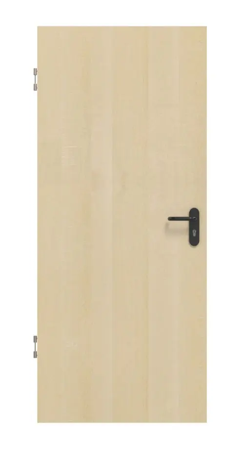 Zdjęcie drzwi dźwiękoszczelnych fornirowanych drewnem naturalnym klon kanadyjski klasyczny - Jeld-Wen