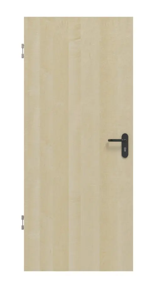 Zdjęcie drzwi dźwiękoszczelnych fornirowanych drewnem naturalnym klon kanadyjski Living - Jeld-Wen