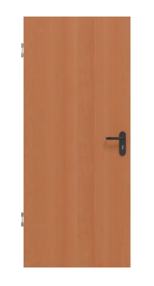 Zdjęcie drzwi dźwiękoszczelnych fornirowanych drewnem naturalnym buk Living - Jeld-Wen