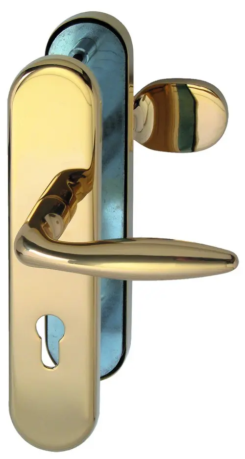 Sicura Arena-LS/LS robusta złoto-polerowane zamek z zabezpieczeniem przed zmianą do drzwi wejściowych do mieszkania z osłoną wkładki i ochrona przeciwpożarowa - Südmetall