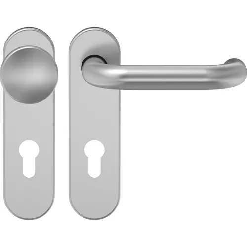 Widok na okucie ochronne D110 gałka-klamka aluminium F1 z krótką tarczą - ECO