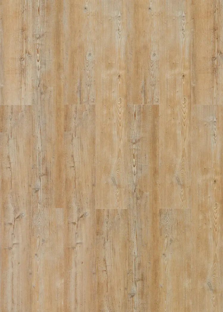 Widok deski Arcadian Soya sosna panele winylowe wood Hydrocork Plus - Wicanders