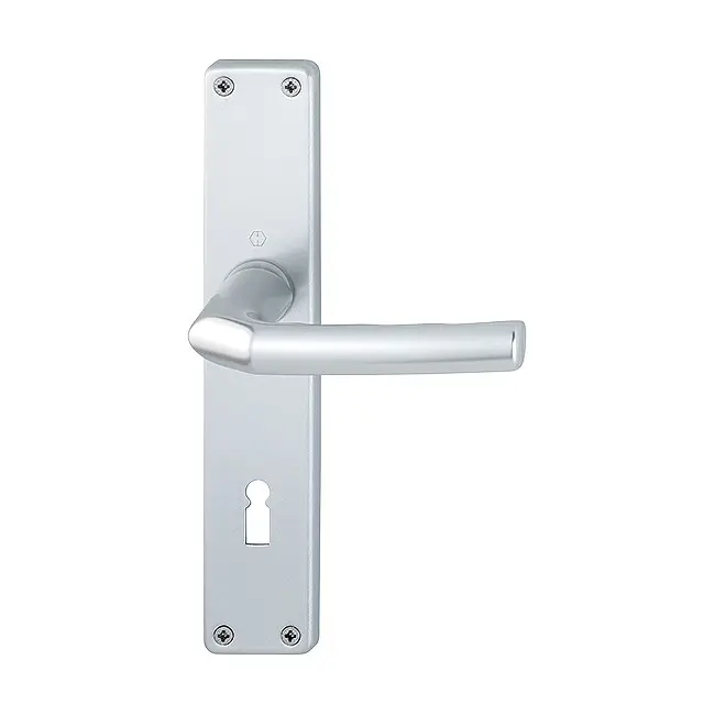 Wykonanie pod klucz pokojowy BB zestaw klamek Birmingham aluminium naturalne dkładka długa - HOPPE