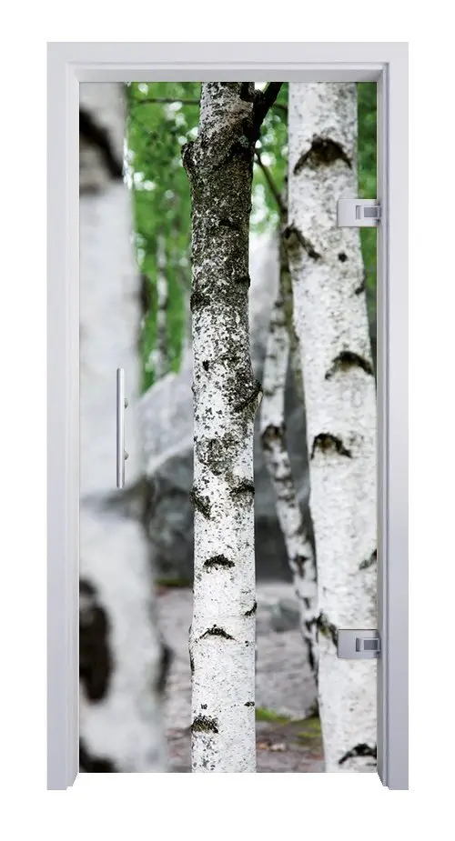 ERKELENZ drzwi szklane Birke fotodruk