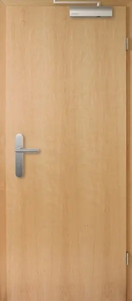 Widok frontowy drzwi przeciwpożarowych T-30 Typ48 jesion Living fornirowanych drewnem naturalnym - Jeld-Wen