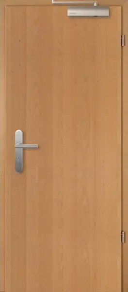 Widok frontowy drzwi przeciwpożarowych T-30 Typ48 buk Living fornirowane drewnem naturalnym - Jeld-Wen