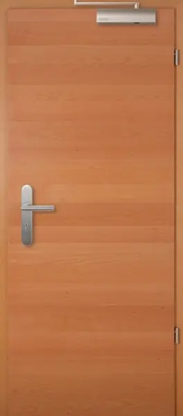 Widok frontowy drzwi przeciwpożarowych T-30 Typ48 buk wzdłuż Living fornirowane drewnem naturalnym - Jeld-Wen