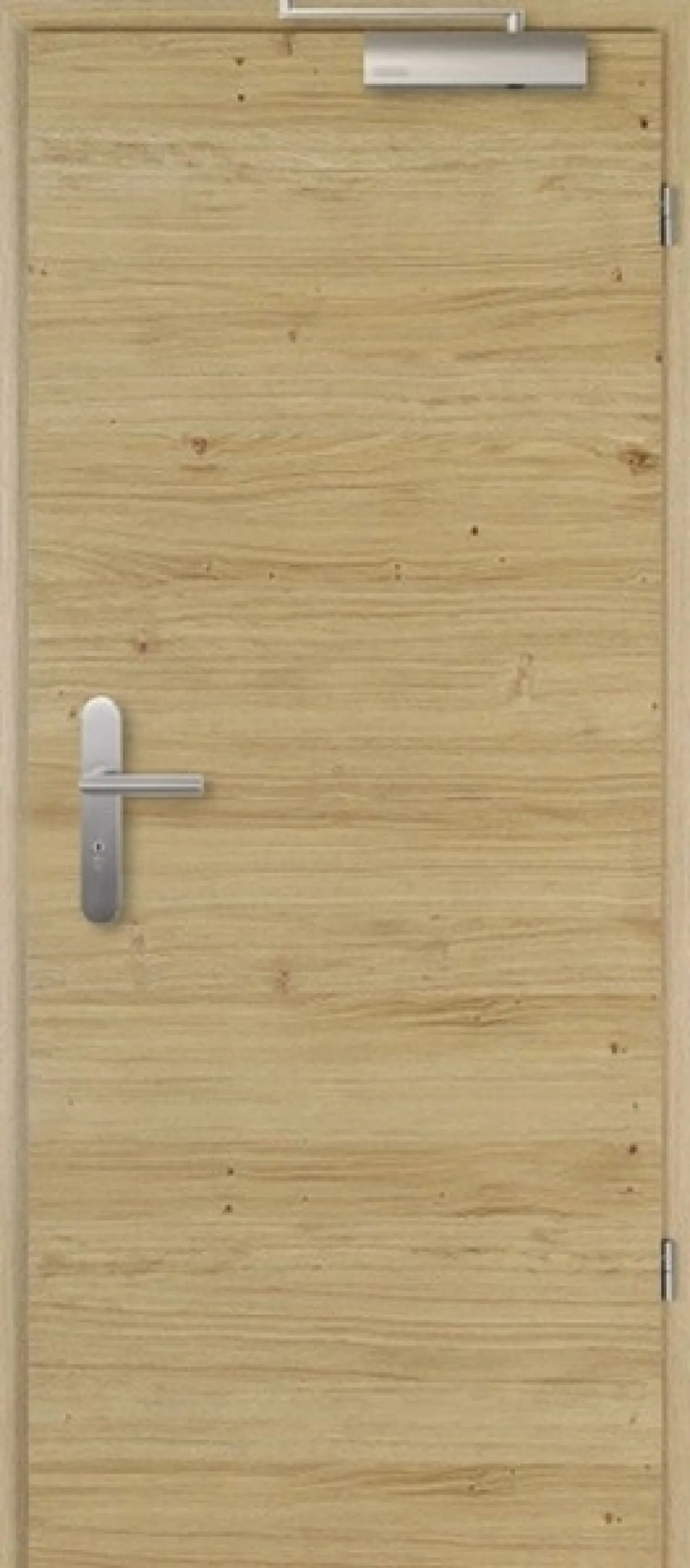 Widok frontowy drzwi przeciwpożarowych T-30 Typ48 dąb europ. sękate wzdłuż Living fornirowane drewnem naturalnym - Jeld-Wen