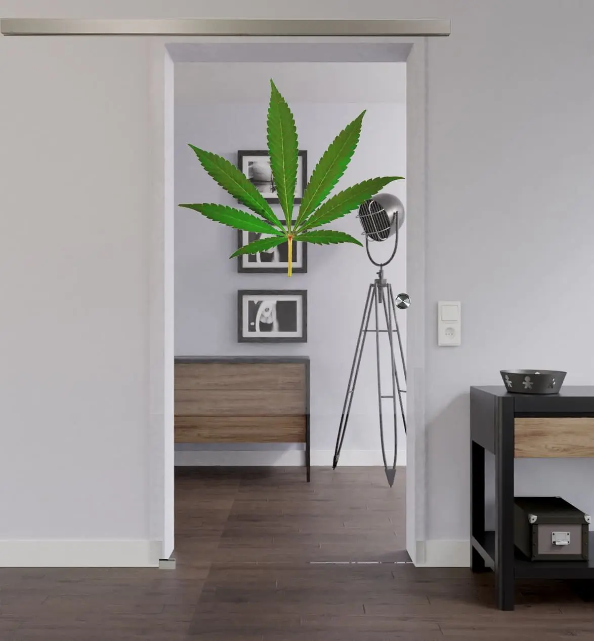 LIENBACHER całoszklane drzwi przesuwne Modell 661 szkło przezroczyste