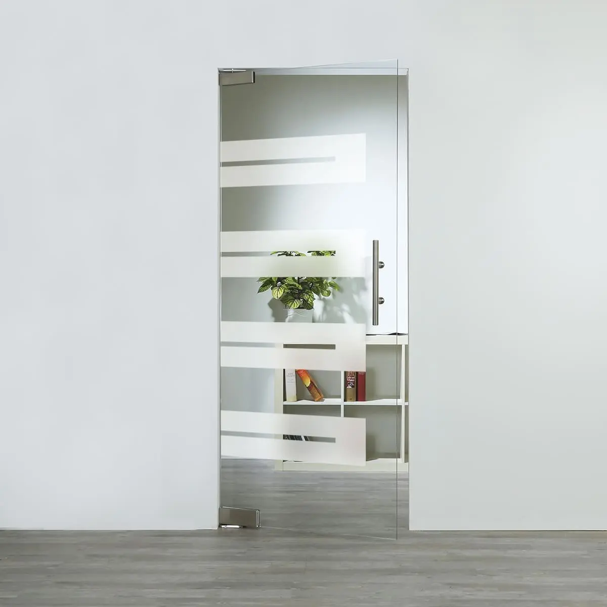 LIENBACHER szklane drzwi wahadłowe Modell 363 negatyw szkło przezroczyste