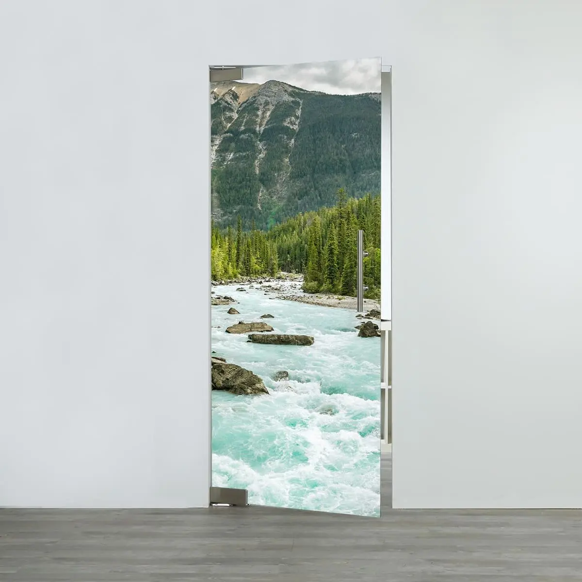 Szklane drzwi wahadłowe LIENBACHER model 678 szkło przezroczyste