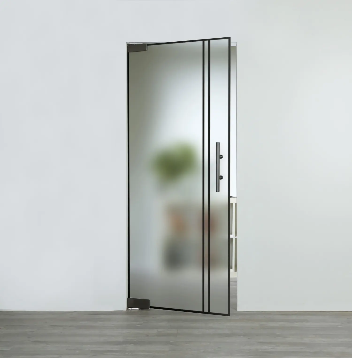 Widok na satynowane drzwi wahadłowe szklane Black Signature z paskami PT 623 - Lienbacher szkło